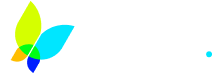 Tonda Logo